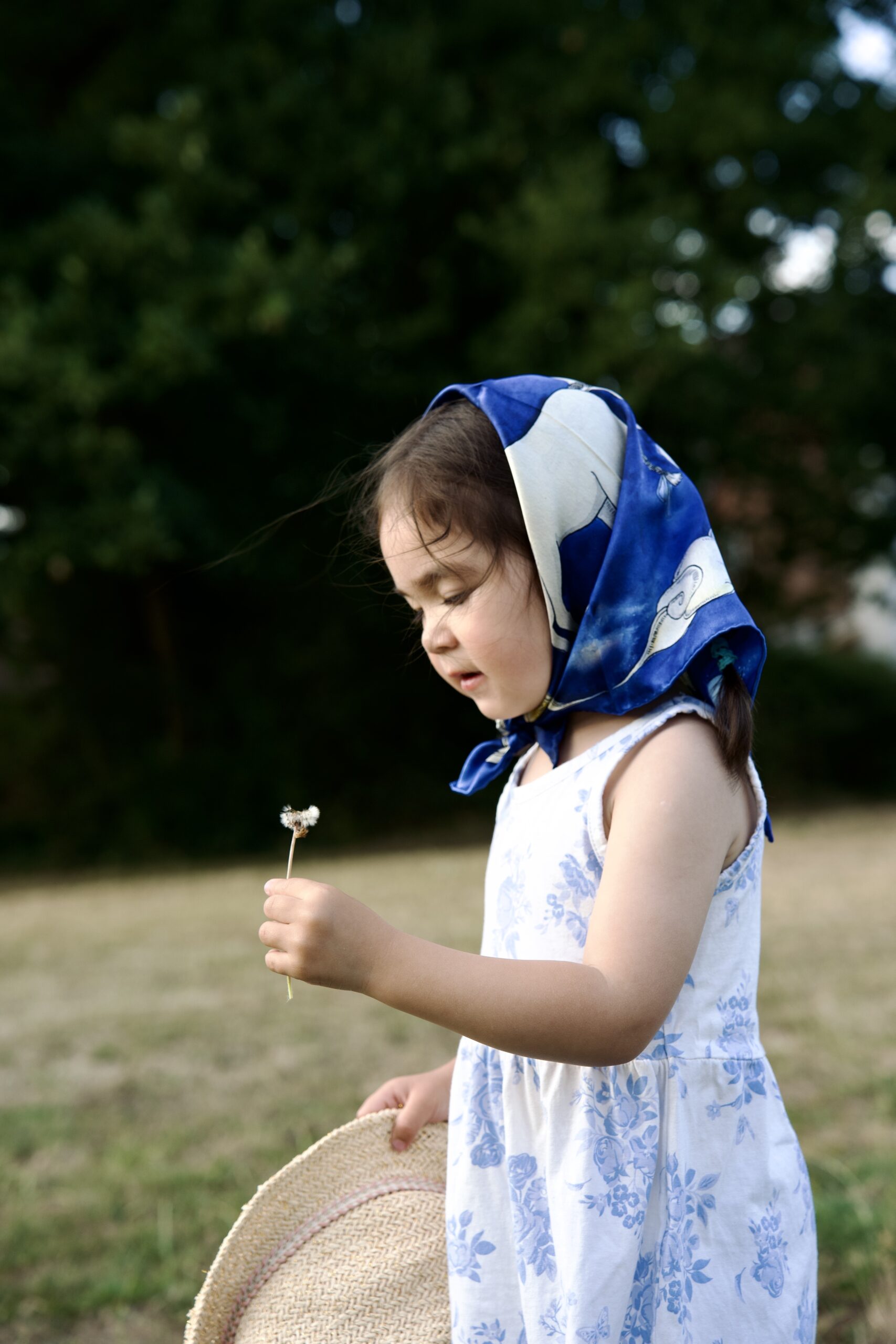 Day Dreams - Silk Scarf (small)